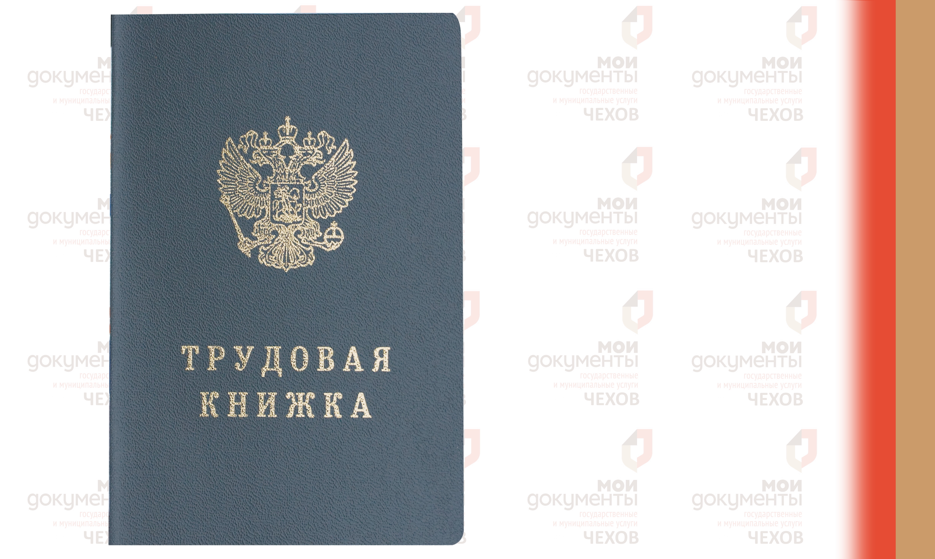Как предъявлять электронную трудовую книжку новому работодателю