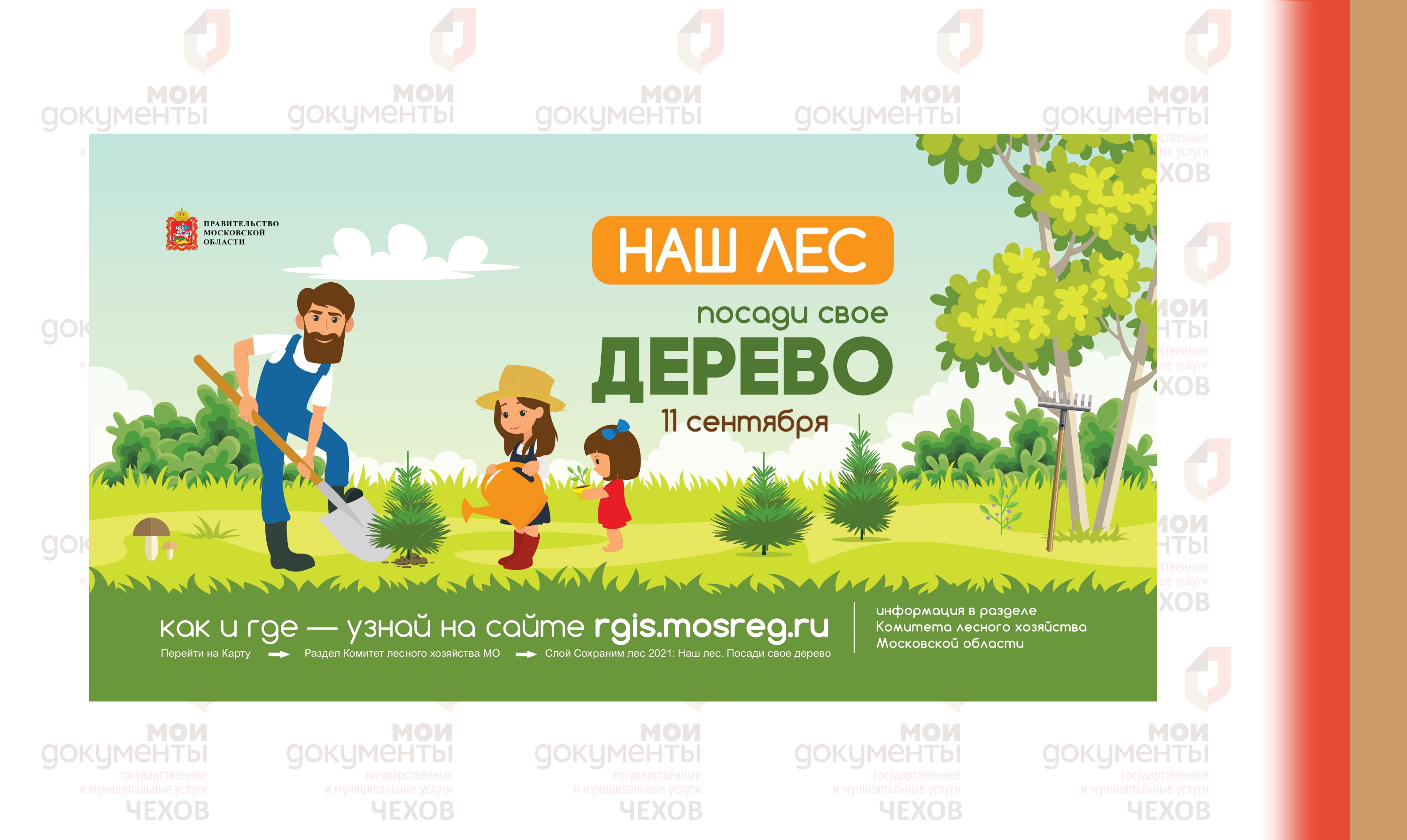 11 сентября 2021 пройдет акция «Наш лес. Посади свое дерево».